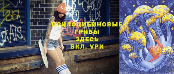 ешки Снежногорск