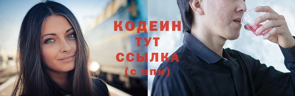 ешки Снежногорск