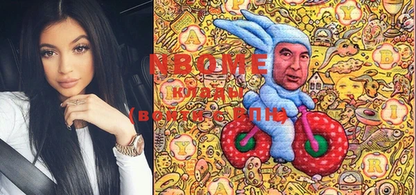 гашик Слюдянка