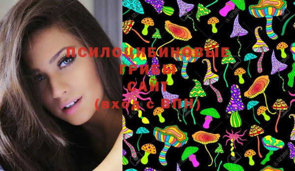 гашик Слюдянка