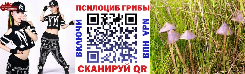 Купить  Ак-Довурак  Псилоцибиновые грибы мухоморы 